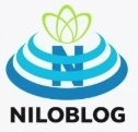 NiloBlog XSS Test